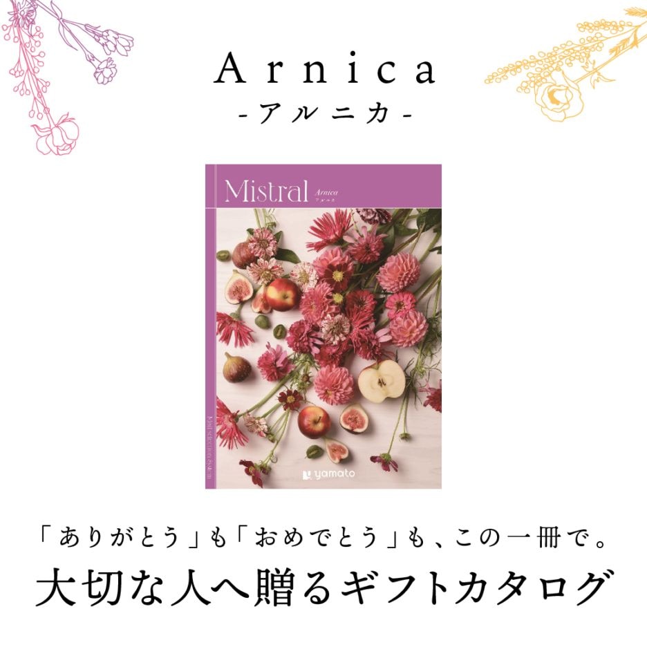 【送料込】ギフトカタログArnica（アルニカ）