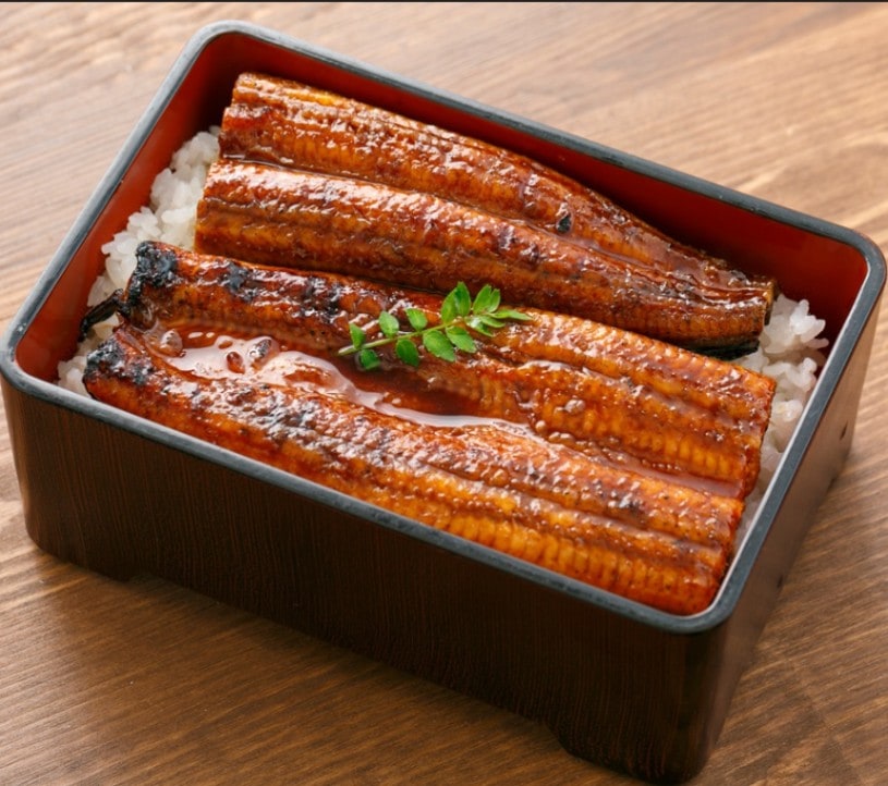 【送料込】「日本最後の清流」四万十川生まれのうなぎ！熟練の技が冴える！選べる≪蒲焼・白焼≫