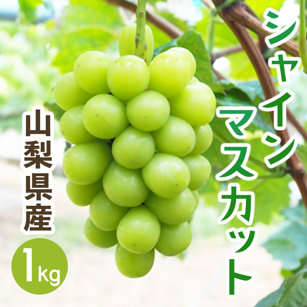 【送料込】「太陽の恵みたっぷり」だから甘い・種なし・皮も食べられる☆『シャインマスカット＜1㎏（2～3房）＞』