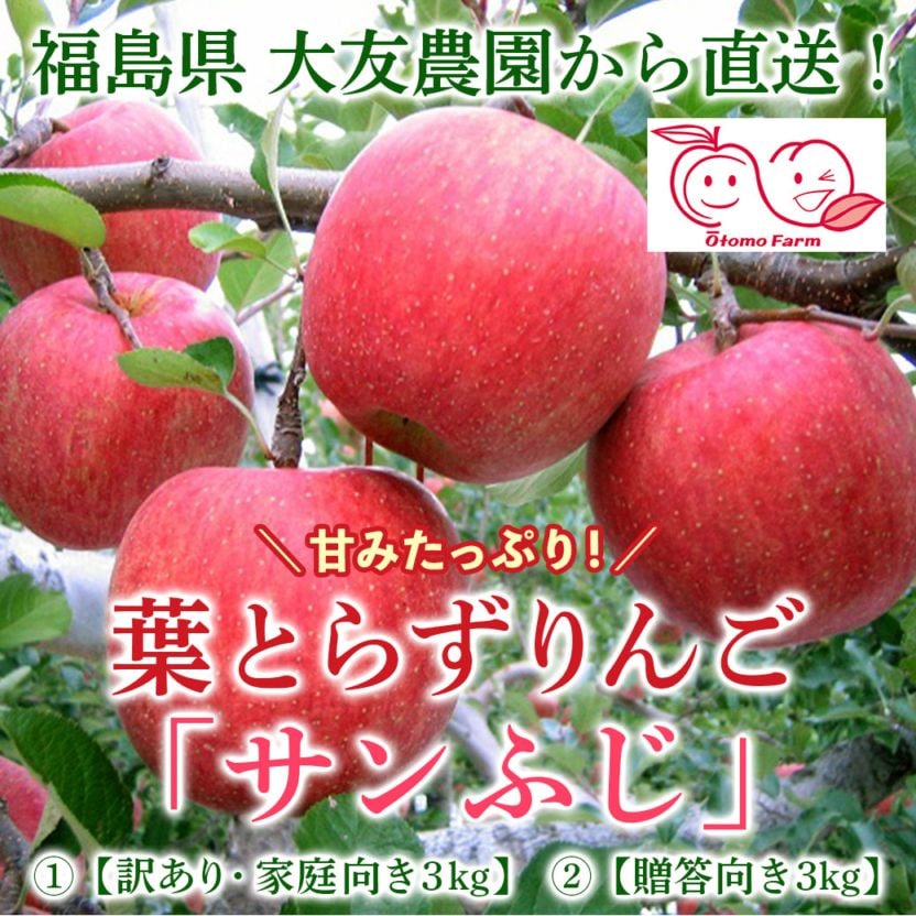 【送料込/計500セット限定】甘みたっぷり!『葉とらずりんご・サンふじ』①【訳あり・家庭向き3kg】と②【贈答向き3kg】