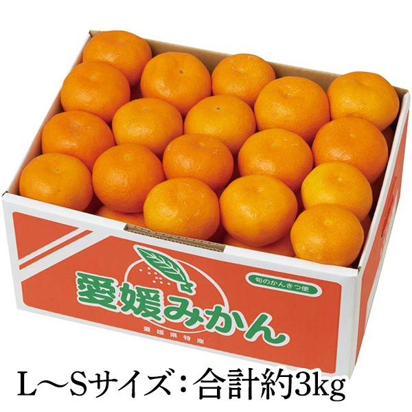 【送料込・お歳暮】愛媛みかん(L~Sサイズ:合計約3kg/SまたはSSサイズ:合計約2.8kg)