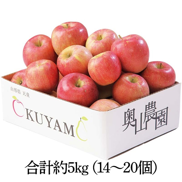 【送料込・お歳暮】奥山農園 山形県産 サンふじりんご(合計約5kg、14~20個)