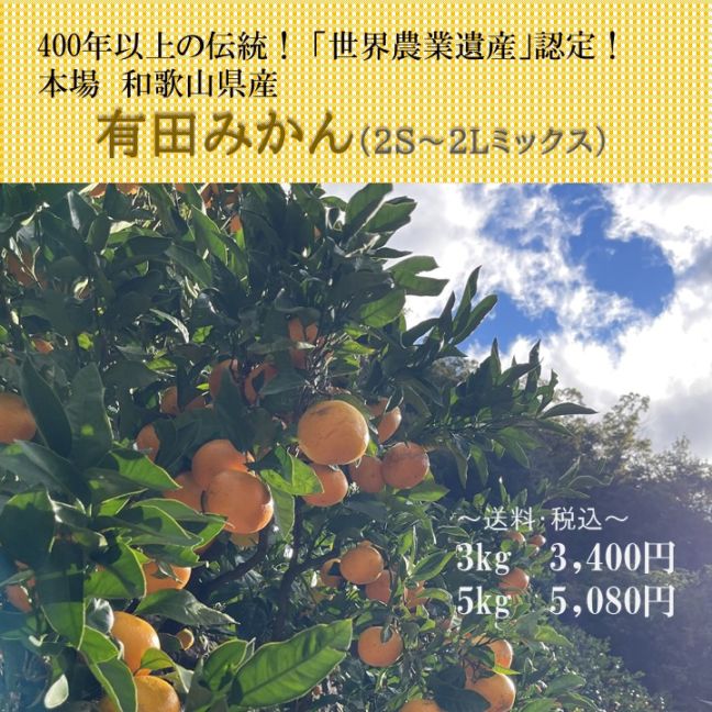 【送料込】江戸時代からの伝統！本場和歌山県からお届け「有田みかん」3kg/5kgセット