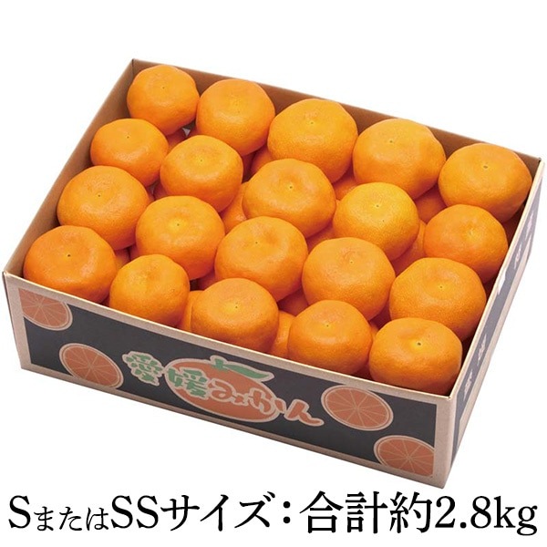 送料込・お歳暮】愛媛みかん（SまたはSSサイズ：合計約2.8kg）｜ホップ