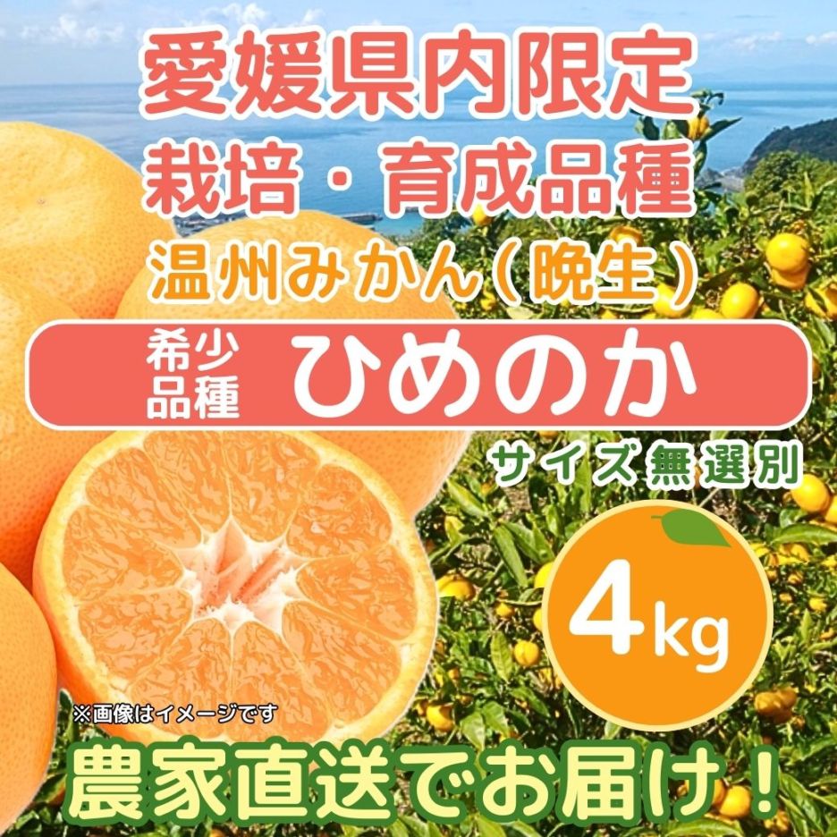 果物｜ホップスモール公式通販(阪急交通社グループ)