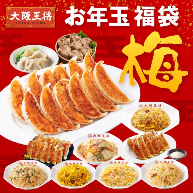 【送料込】大阪王将・福袋「梅セット」11種11袋入り<総額8,260円が5,000円でお買い得!>
