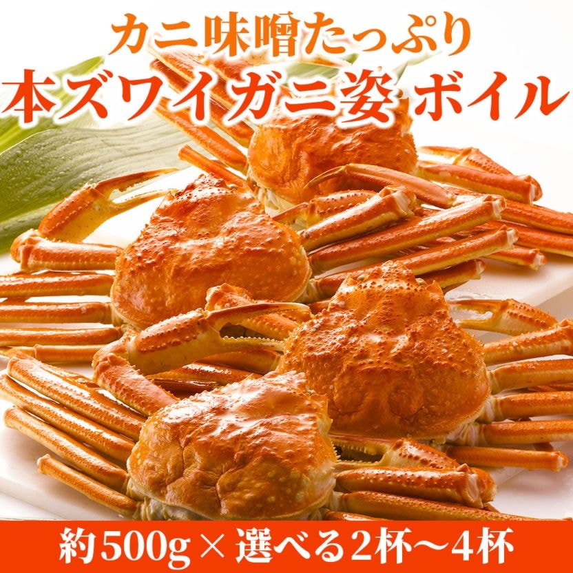 【送料込】カニ味噌たっぷり☆『本ズワイガニ姿』ボイル ≪500g×2~4杯≫お選びいただけます!