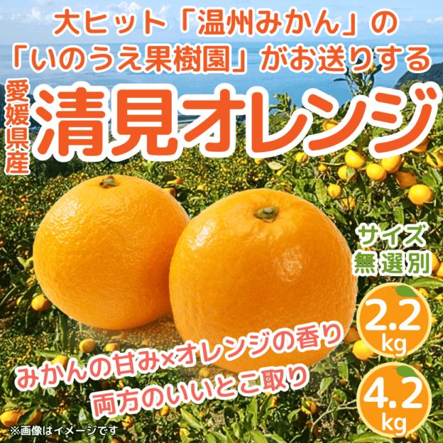 果物｜ホップスモール公式通販(阪急交通社グループ)