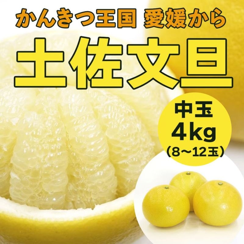 【送料込】太陽の恵みたっぷり！愛媛県愛南町の農園からお届け『土佐文旦』中玉 4kg (8～12個)