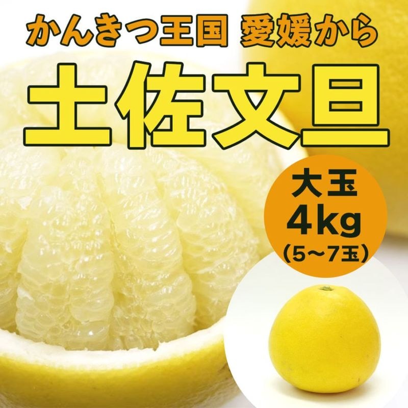 【送料込】太陽の恵みたっぷり！愛媛県愛南町の農園からお届け『土佐文旦』大玉 4kg (5～7個)