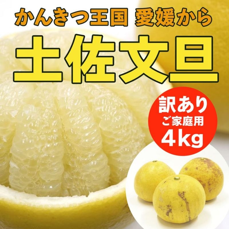 【送料込】太陽の恵みたっぷり！愛媛県愛南町の農園からお届け『土佐文旦』ご家庭用・訳あり品 4kg (サイズ不揃い)