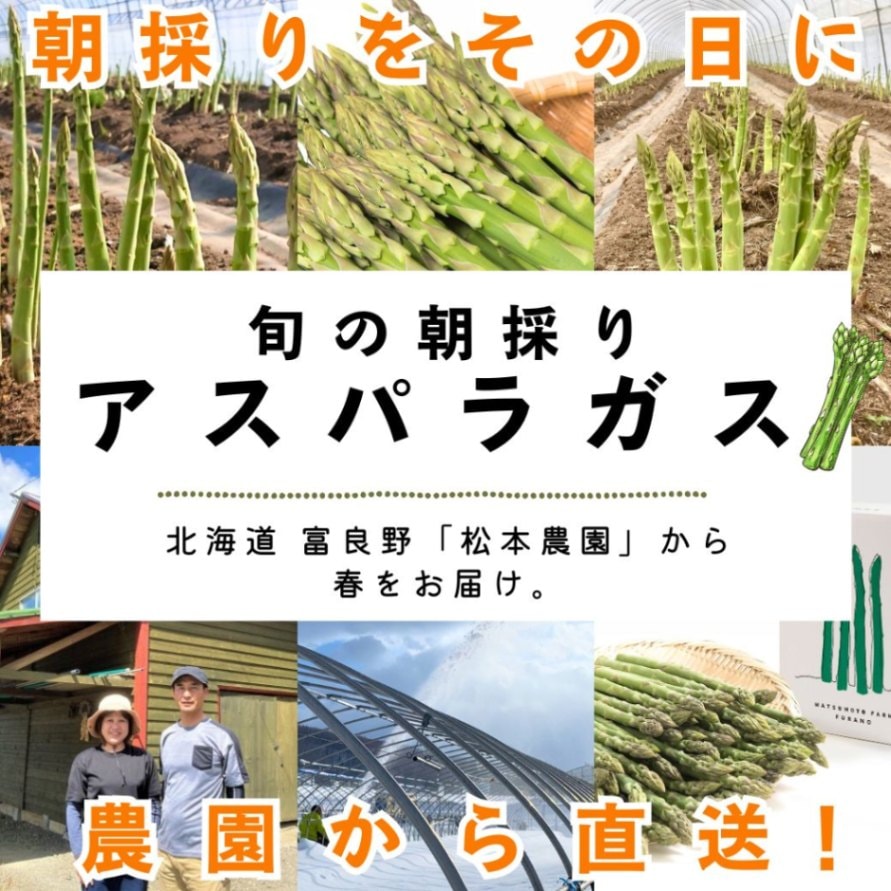 【送料込】北海道から旬の味覚!鮮度を保ってお届け『朝採りアスパラガス・無選別品』1kg箱(約30~40本入り)・2kg箱(約60~80本入り)