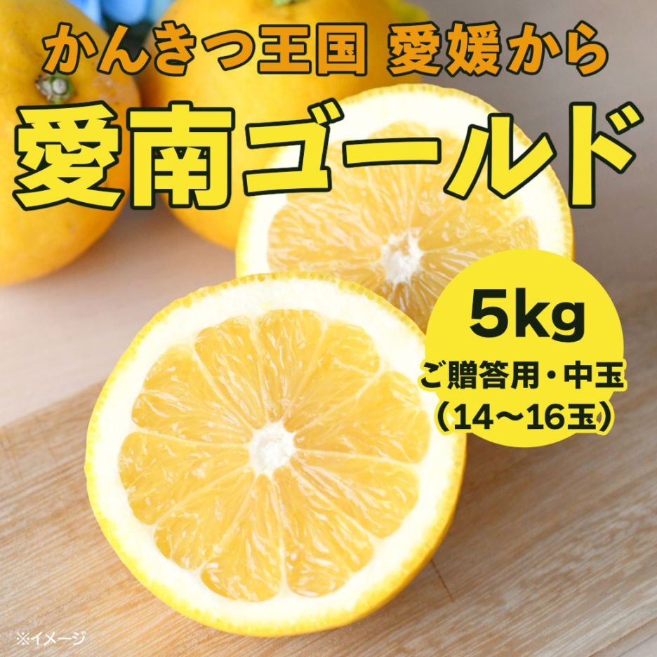 【送料込】果汁たっぷり！程よい酸味がうれしい愛媛県愛南町からお届け『河内晩柑･愛南ゴールド5kg』（中玉14～16玉）ご贈答用