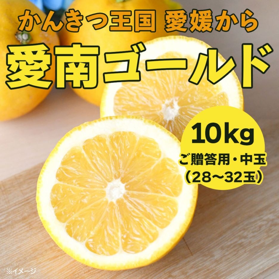 【送料込】果汁たっぷり！程よい酸味がうれしい愛媛県愛南町からお届け『河内晩柑･愛南ゴールド10kg』（中玉28～32玉）ご贈答用