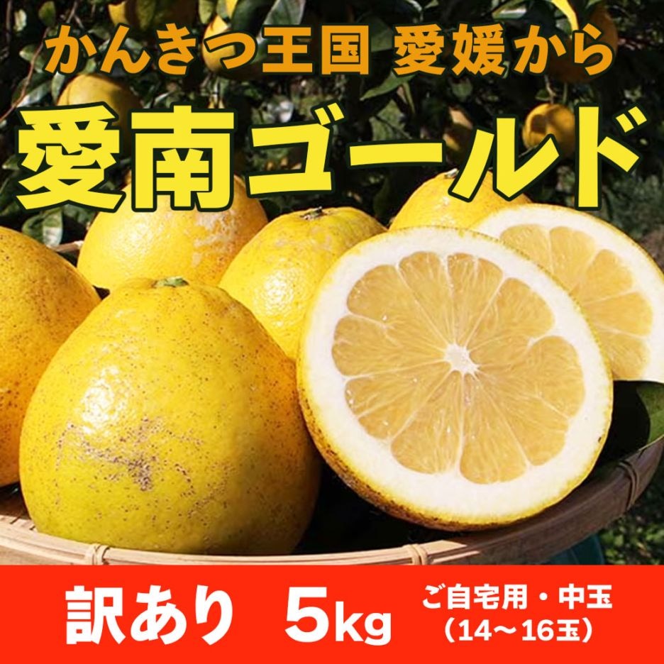 【送料込】果汁たっぷり！程よい酸味がうれしい愛媛県愛南町からお届け『河内晩柑･愛南ゴールド5kg』（中玉14～16玉）ご家庭用・訳あり品