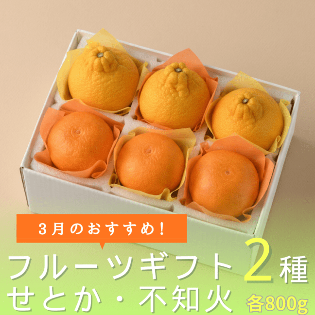 【送料込】3月のおすすめ！フルーツギフト2種 せとか（愛媛）800g・不知火（九州）800g ☆3月出荷限定☆