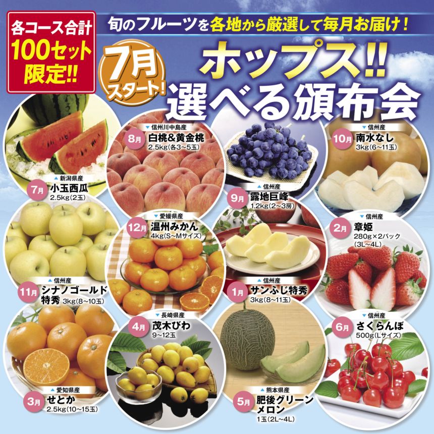 【送料込】旬のフルーツを各地から厳選してお届け！ホップス特選！！フルーツ頒布会