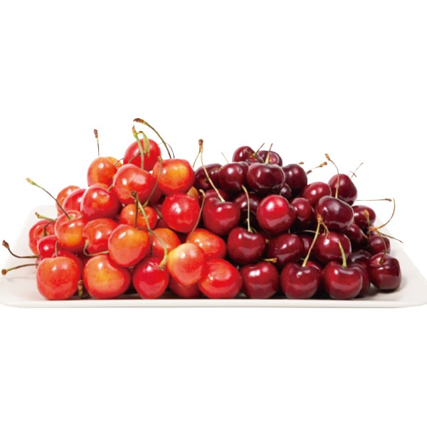 【2026年シーズン到来！完全ご予約制】アメリカンチェリー２種お楽しみセット ビング種（700g） + レーニア種（700g）