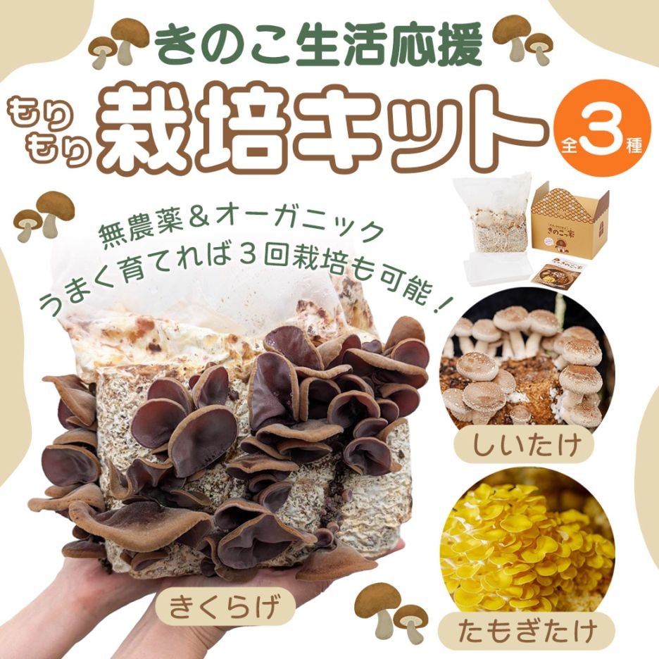【送料込】きのこ生活応援!!選べる『もりもり栽培キット』≪たもぎだけ・しいたけ・きくらげ≫