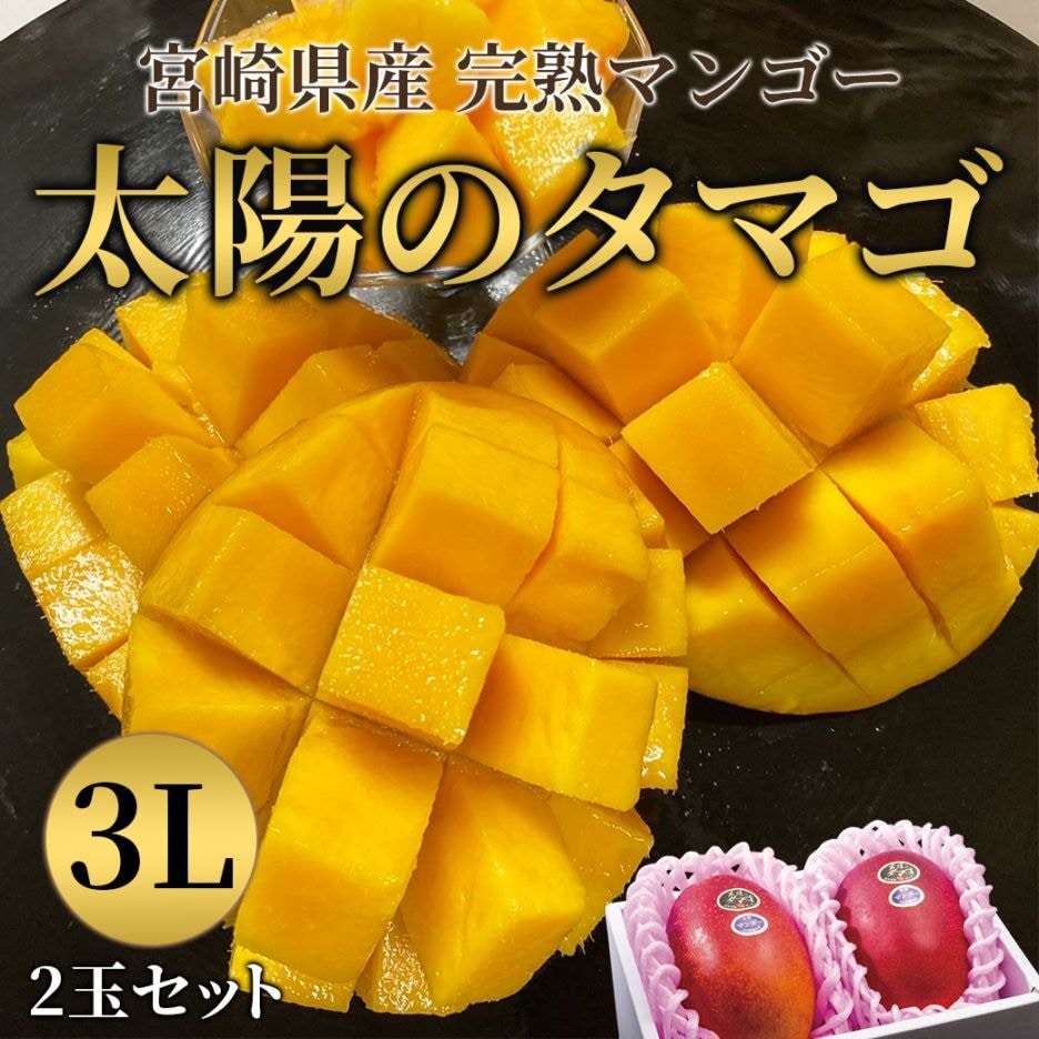 【送料込】とろける食感と濃厚な甘み！本場宮崎県産 完熟マンゴー「太陽のタマゴ」3Lサイズ 2玉セット