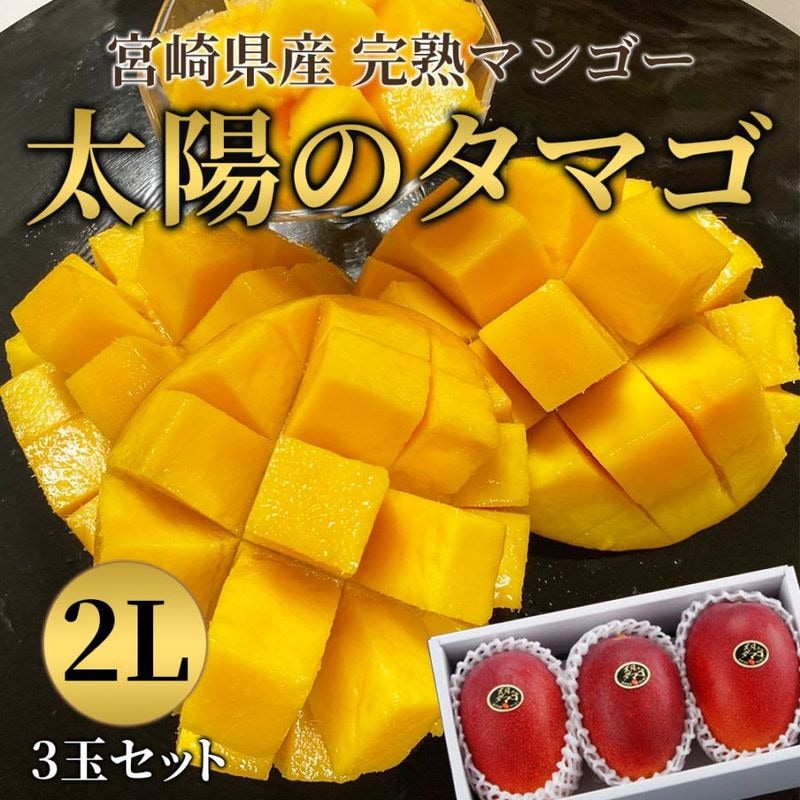 送料込】とろける食感と濃厚な甘み！本場宮崎県産 完熟マンゴー「太陽