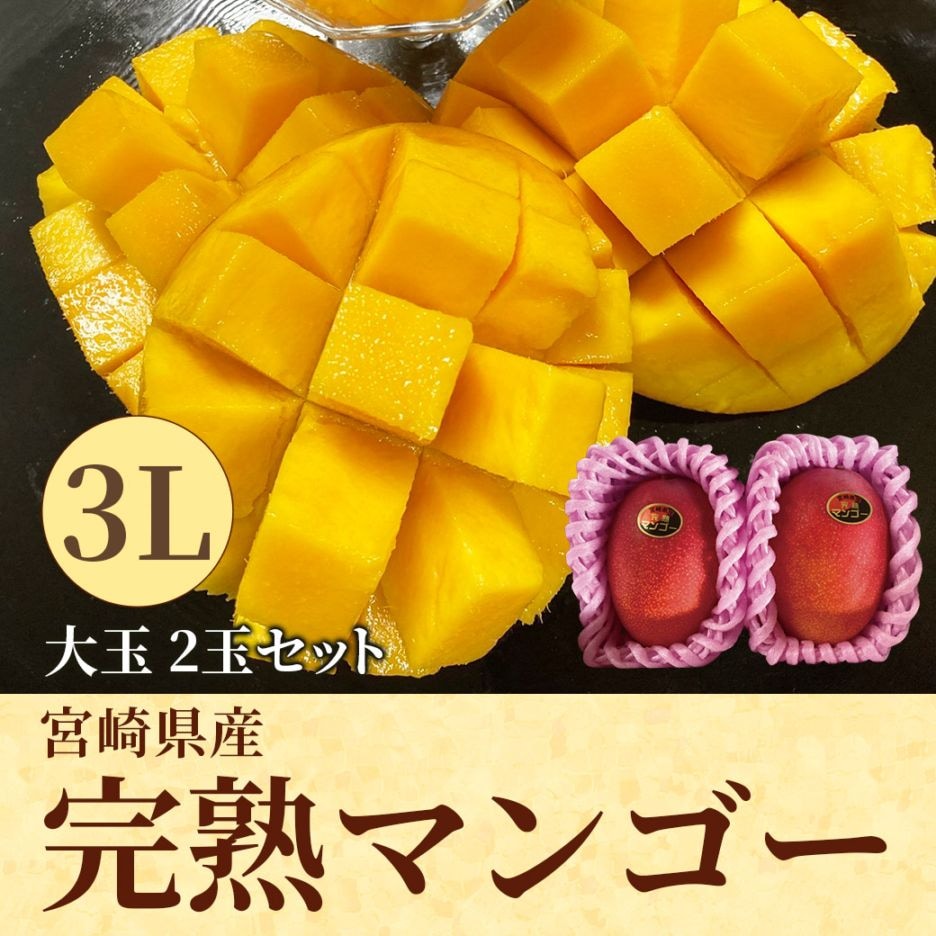 【送料込】とろける食感と濃厚な甘み！本場宮崎県産 完熟マンゴー 3Lサイズ 大玉2玉セット