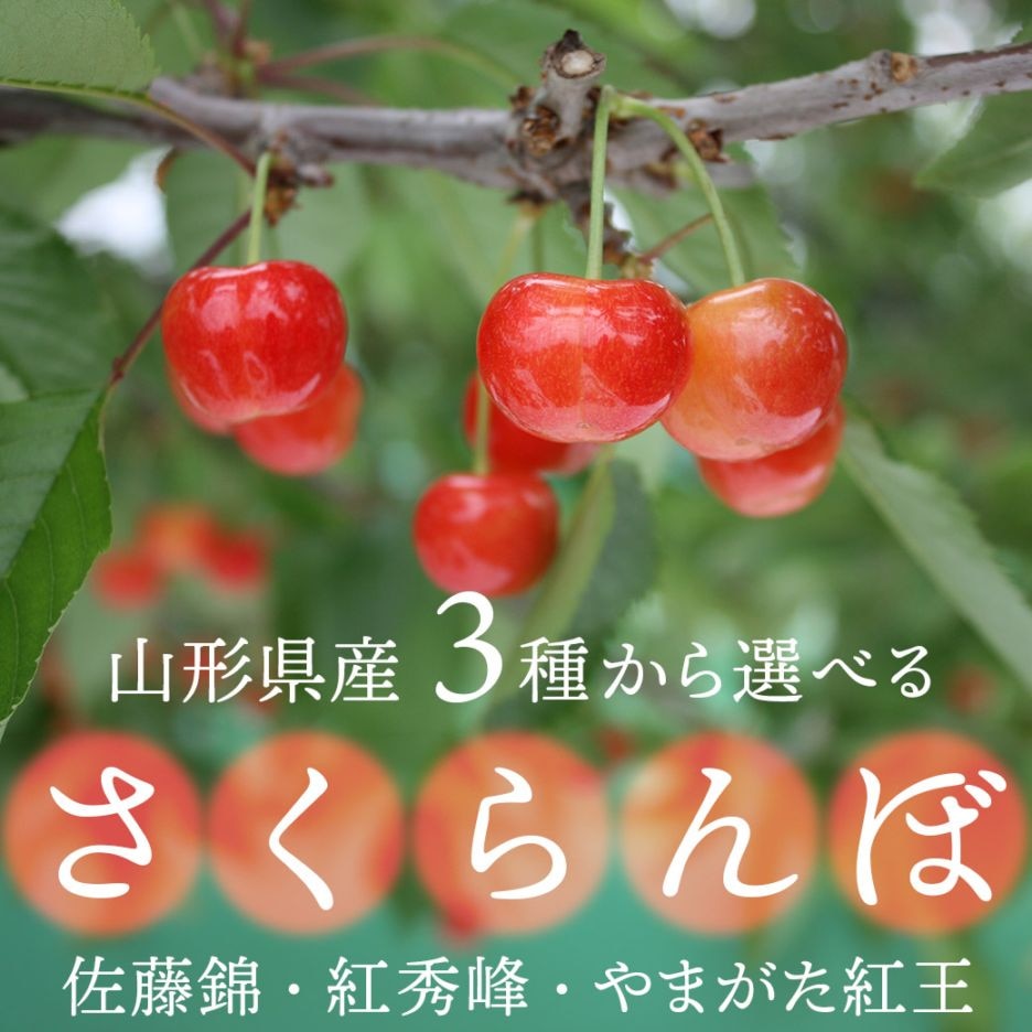 【送料込】人気のさくらんぼブランドを3種から選べる！『佐藤錦』･『紅秀峰』･『やまがた紅王』