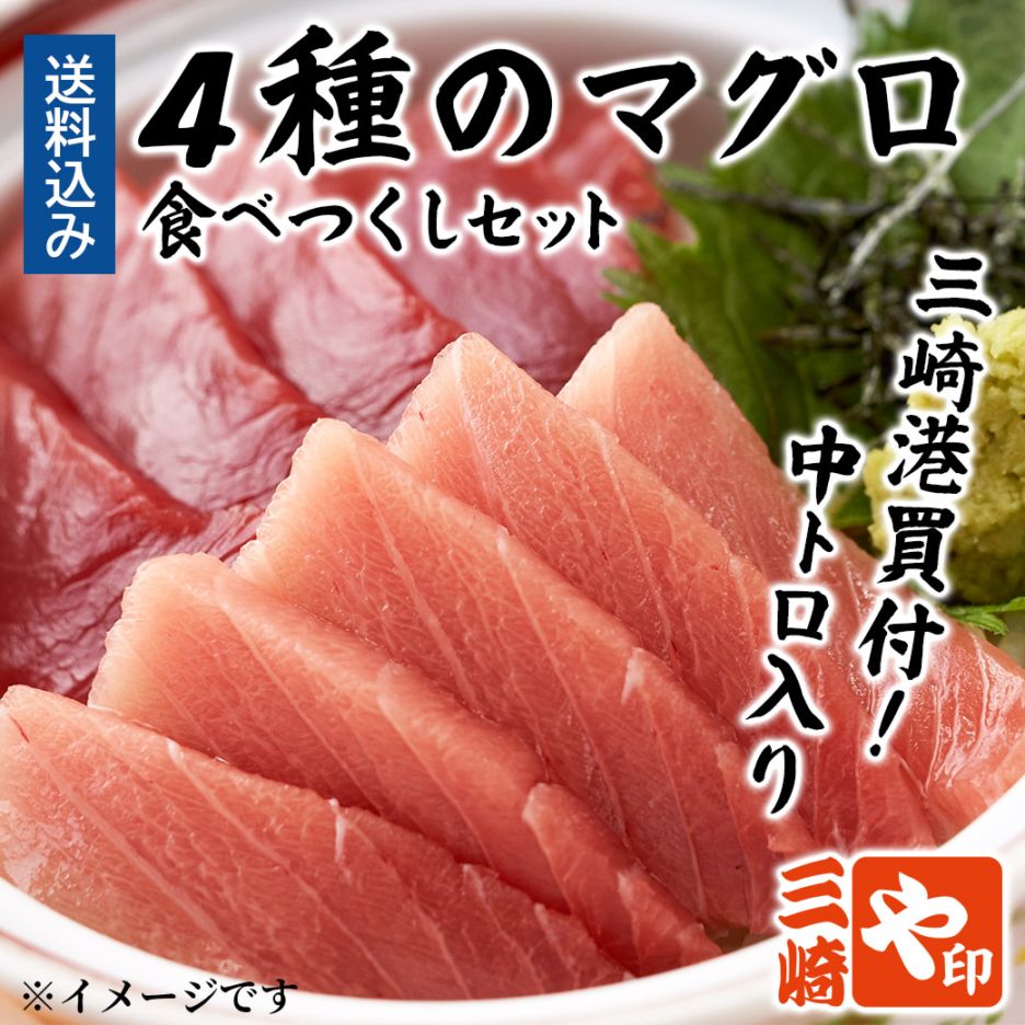 ホップス初登場！三崎港買付！中トロ入り4種のマグロ食べつくしセット