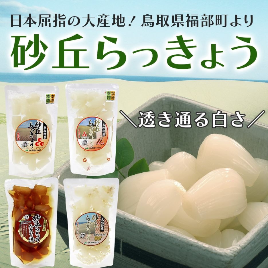 【送料込】透き通る白さ！『砂丘らっきょう』≪らっきょう漬け（甘酢漬・ピリ辛・醤油たまり漬・国産生姜入り）4種組み合わせ≫