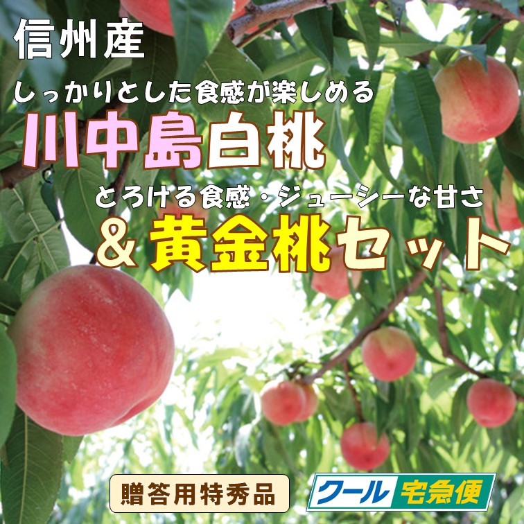 【送料込】信州産 しっかりとした食感が楽しめる川中島白桃ととろける食感・ジューシーな甘さの黄金桃セット（2.5kg/3.5kg）