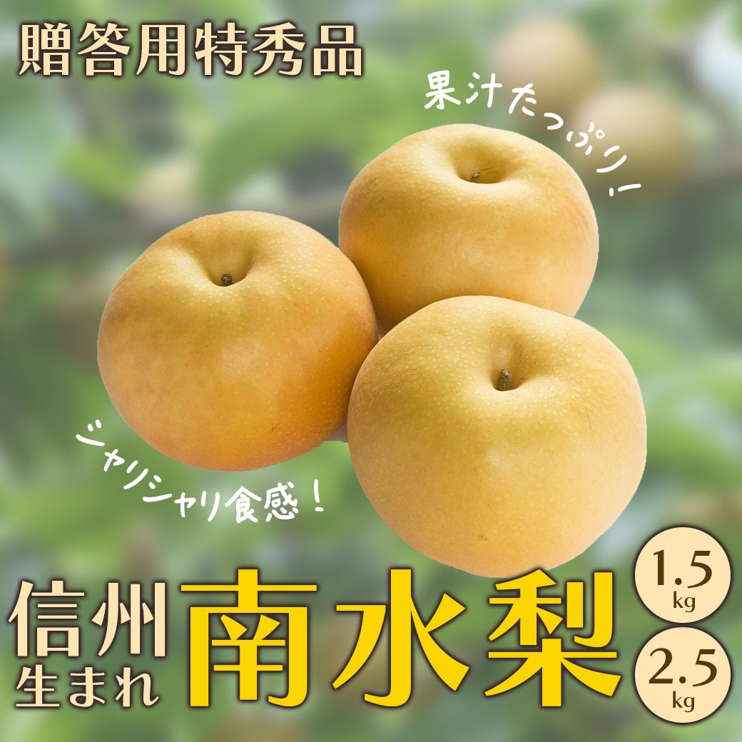 【送料込】果汁たっぷり！シャリシャリ感がたまらない！信州生まれの「南水梨」