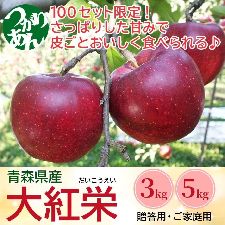 【予約販売】100セット限定！『青森大玉りんご・大紅栄 3kg箱・5kg箱（家庭用/贈答用）』ホップス初登場品種です！おまとめ買いなら送料がお得！