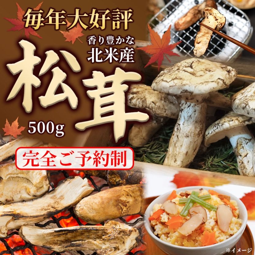 【送料込】芳醇で豊かな香りと味わいが人気!北米産松茸500g
