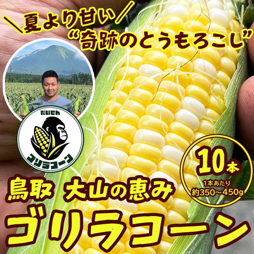 【送料込】夏より甘い“奇跡のとうもろこし”大山の恵みたっぷりのトウモロコシ『ゴリラコーン・ドルチェドリーム』10本セット（約350～450ｇ/本）