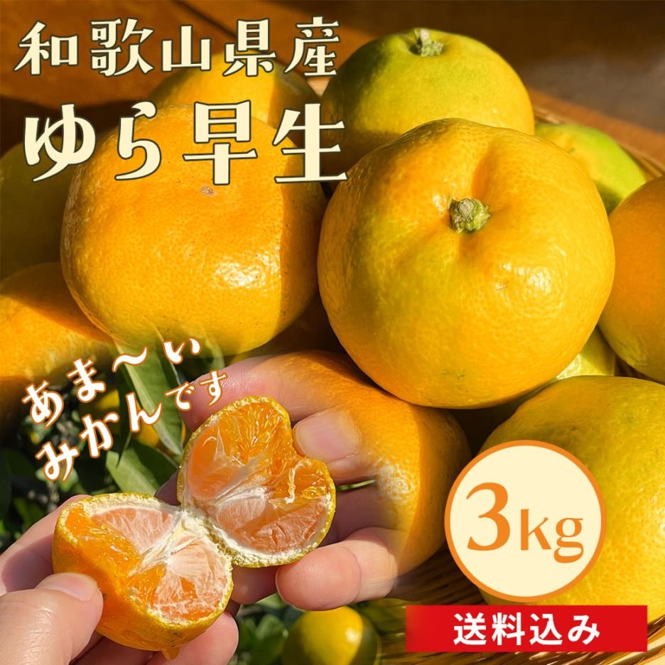 【送料込】収穫量全国1位！『甘～いみかん！ゆら早生 3㎏・6kg』