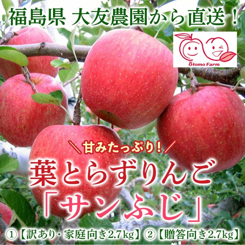 【送料込】甘みたっぷり！『葉とらずりんご・サンふじ 2.7kg』＜①訳あり／家庭向き＞＜②贈答向き＞