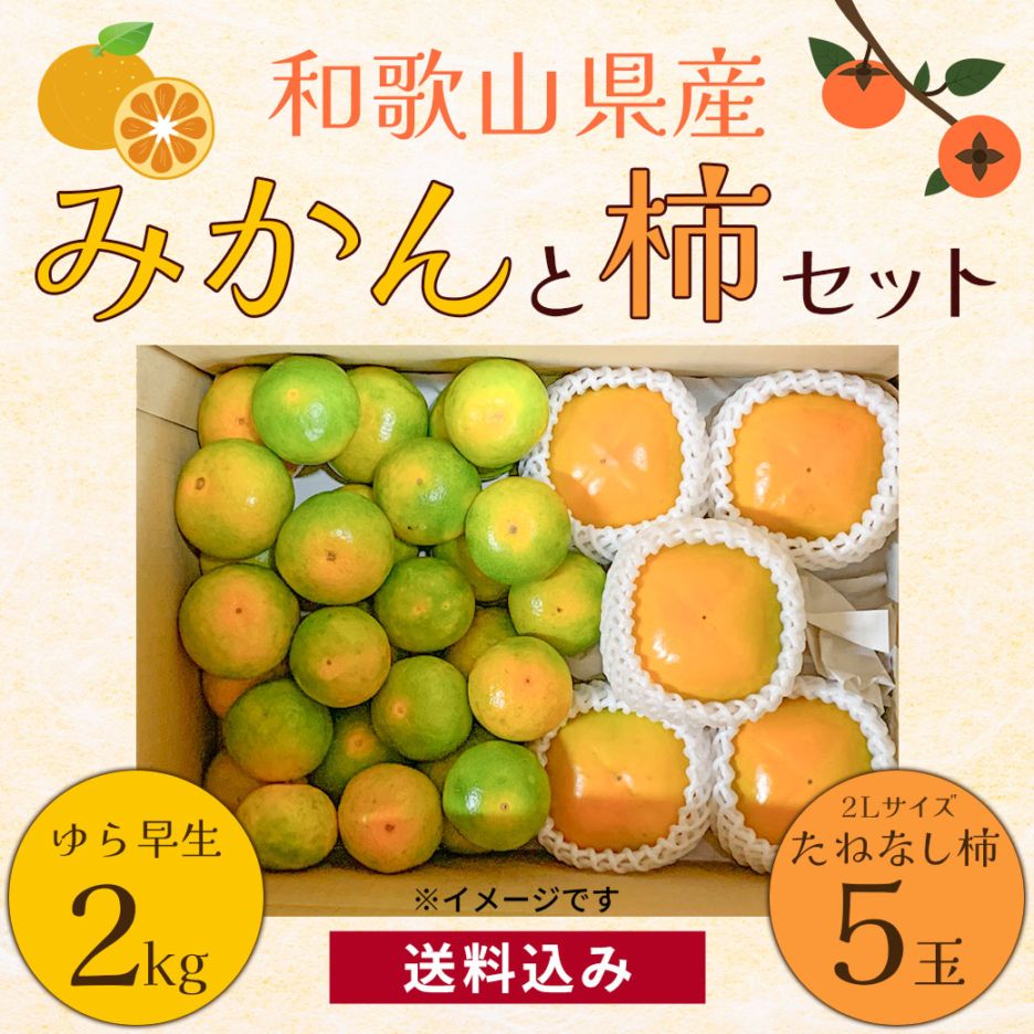 【送料込】収穫量全国1位！『みかんと柿セット・ゆら早生2㎏+柿2L×5玉』
