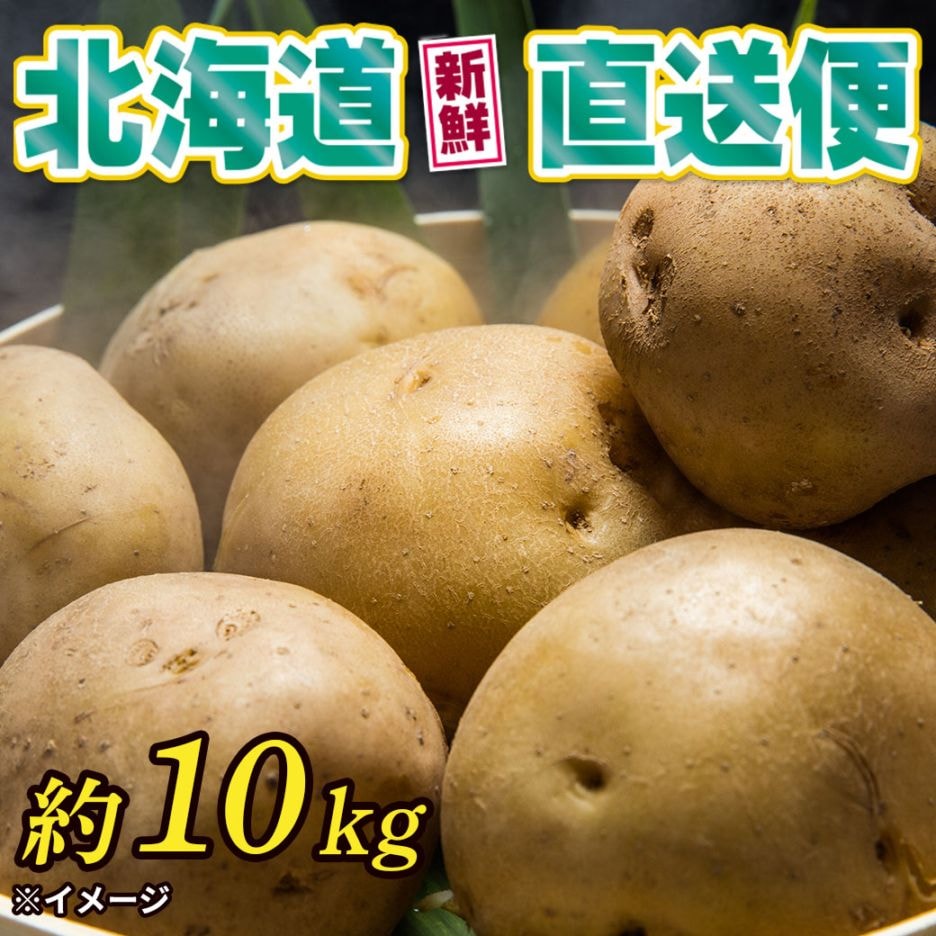 送料込】【北海道新鮮直送便】男爵いも約10kg｜ホップスモール公式通販