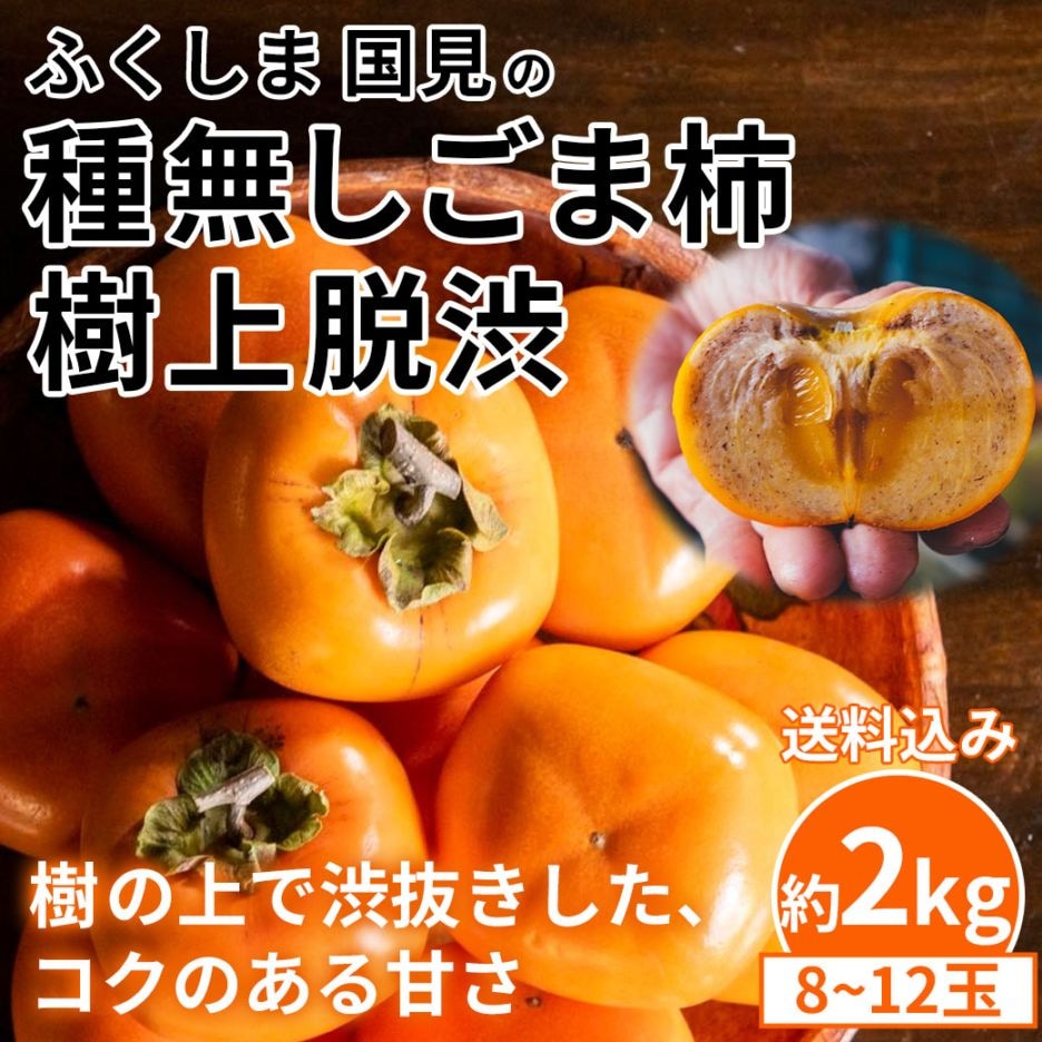 【送料込】『ふくしま 国見の種無しごま柿・樹上脱渋（約2kg、8～12玉）』木の上で渋抜きした、コクのある甘さ！〈限定50セット〉