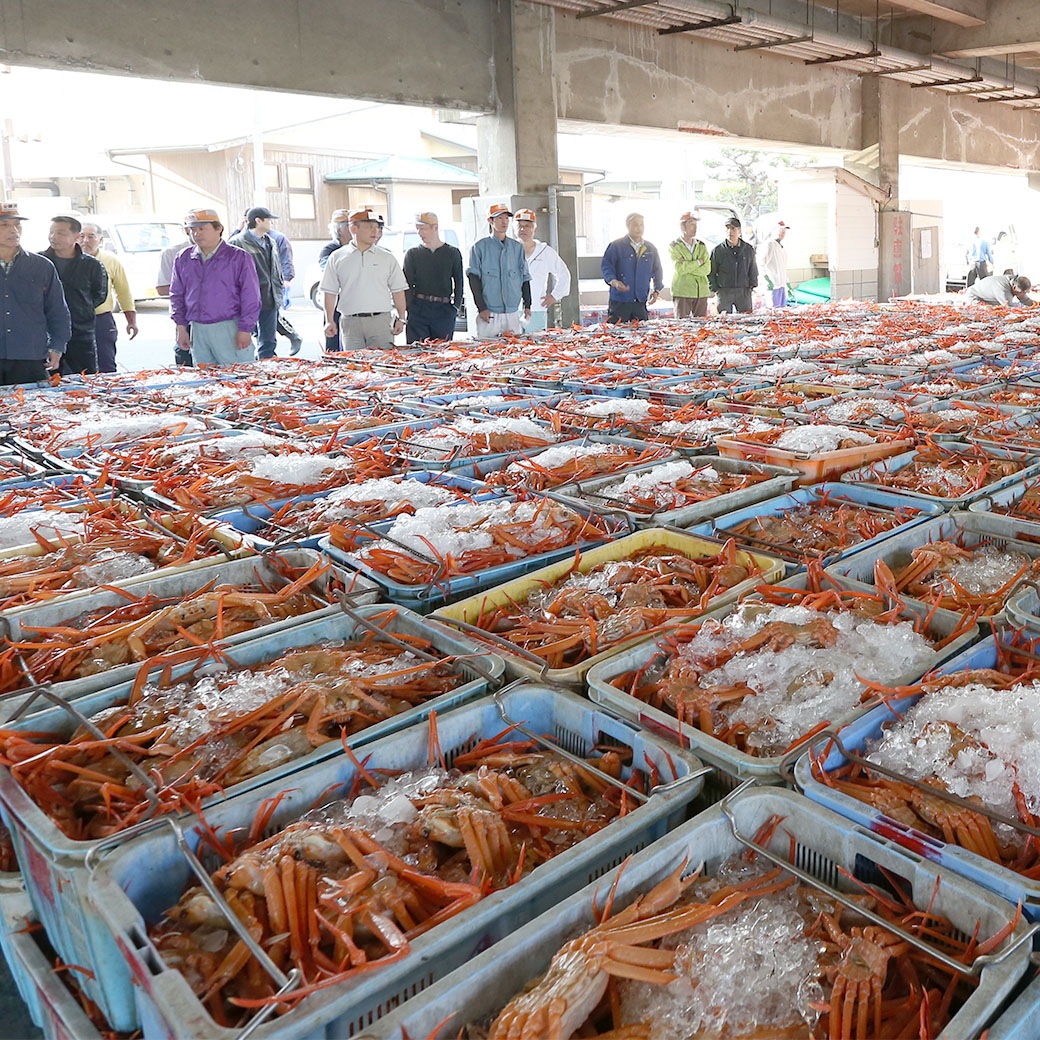 <150セット限定>今がまさに旬！！本場日本海 香住漁港水揚げ! むき香住がにセット｢棒身 300g･バラ身 300g｣
