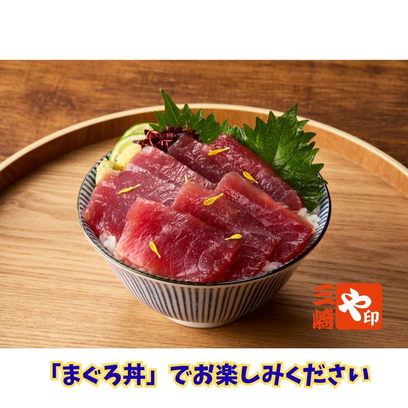 【送料込】まぐろの本場・三崎港から直送！『とにかくマグロが食べたい！3種セット』メバチマグロ赤身（1kg/訳あり）＋ネギトロ（100ｇ）+マグロバジル漬（120ｇ）