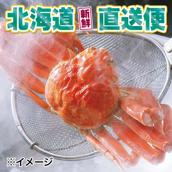【北海道新鮮直送便】(送料はまとめ買いがお得!)活〆茹でズワイガニ(約500g/1尾)