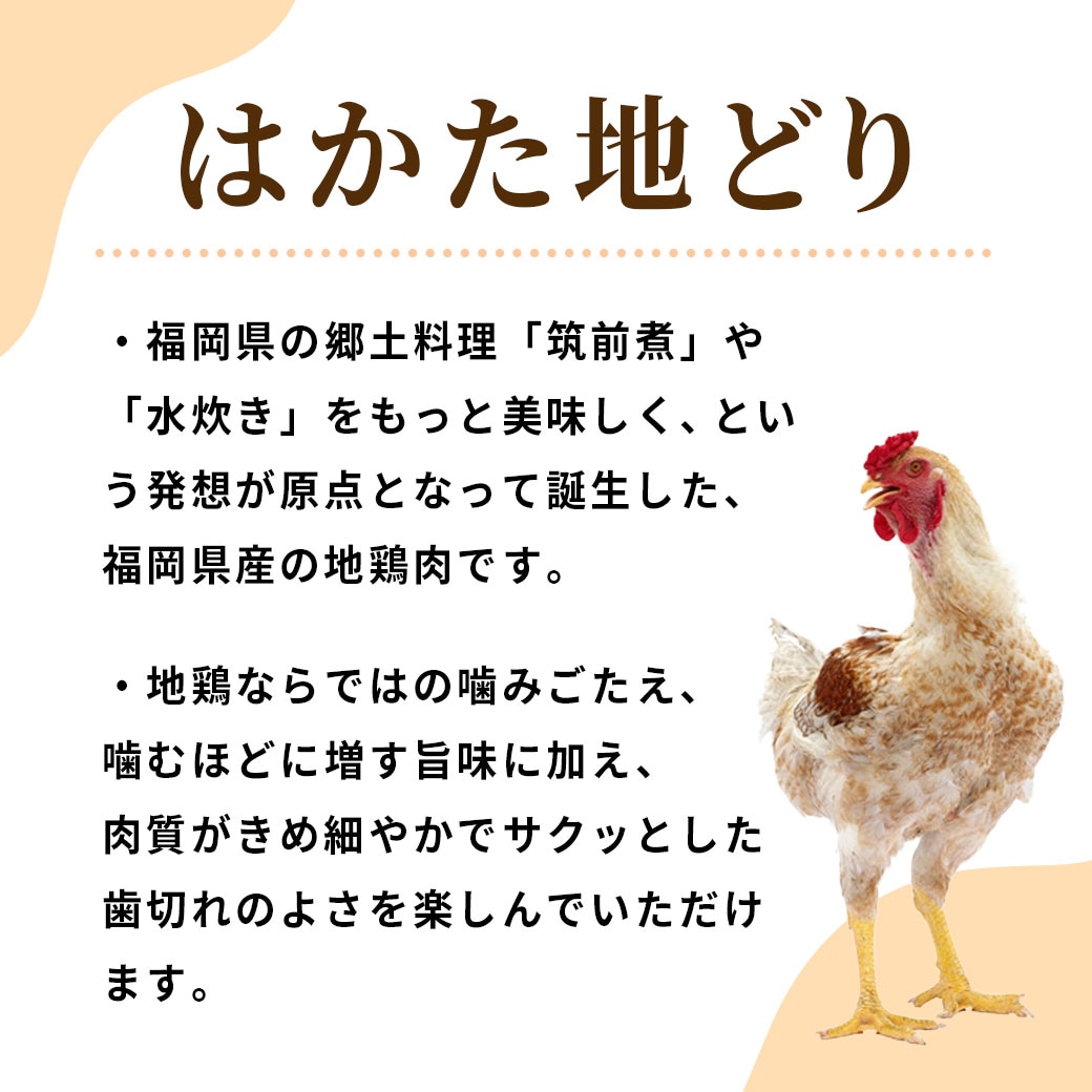 【送料込】冬はお鍋であったまろ!福岡を代表するブランド地鶏『はかた地どり』を美味しく味わう!人気の水炊きセット(選べる3種)