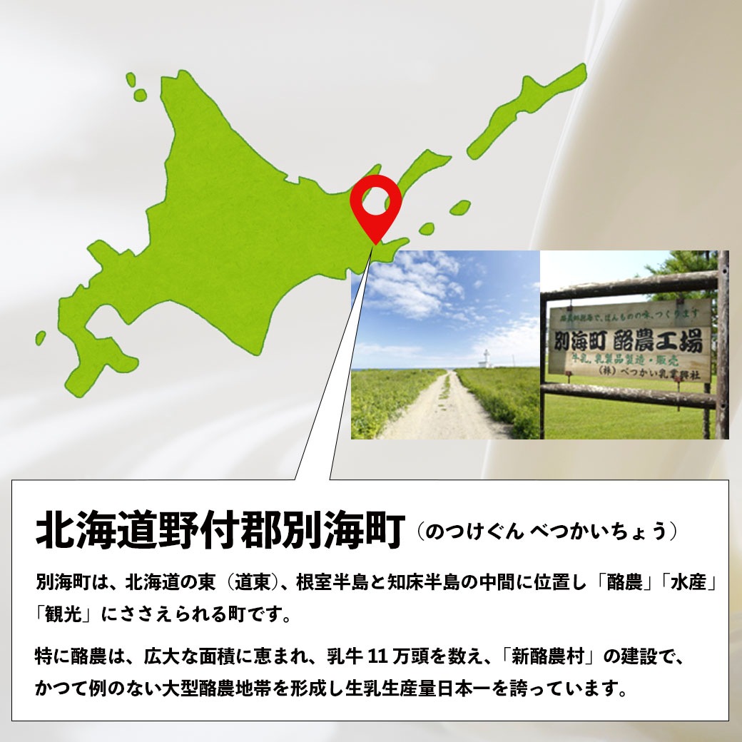 『べつかいのアイスクリーム屋さん』120ml×12個セット＜バニラ、ストロベリー、チョコ、抹茶＞☆「ワンランク上」のアイスクリーム　生乳生産量日本一・北海道別海町よりお届け