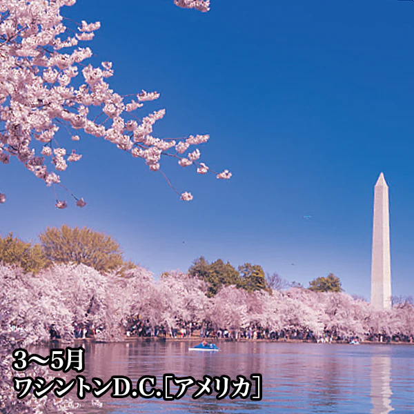 45％OFF！【送料込】2026年版　阪急交通社オリジナルカレンダー『絶景旬彩』 ＜３か月表示でとっても便利！＞特別価格！！