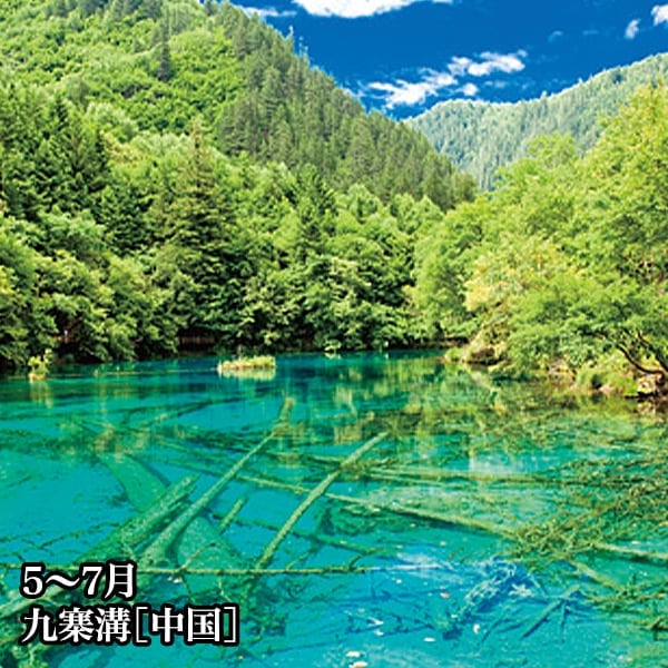 45％OFF！【送料込】2026年版　阪急交通社オリジナルカレンダー『絶景旬彩』 ＜３か月表示でとっても便利！＞特別価格！！