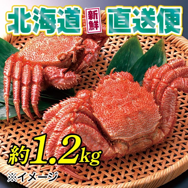 【北海道新鮮便直送便】（送料はまとめ買いがお得！）活〆毛ガニ・特大2尾セット（約1.2kg／2尾）