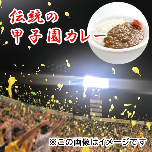 【送料込】12食入り！伝統の甲子園カレー「中辛6食入り＋甘口6食入り」（レトルトカレーセットＤ）