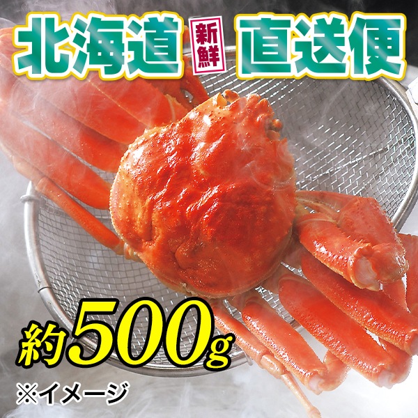 【北海道新鮮直送便】（送料はまとめ買いがお得！）活〆浜茹特大ズワイガニ1尾（約500g／1尾）
