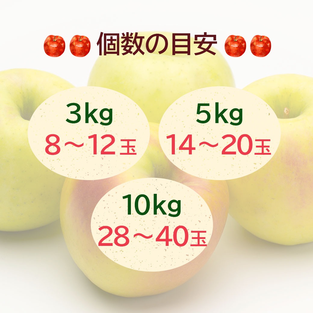 青森県りんご　希少品種「ぐんま名月」産地直送！【ご家庭向き：3kg、5kg、10kg】おまとめ買いがお得！（4箱までなら何箱買っても送料一律1,200円！－ただしお届け場所は同一1か所、同一kgの箱に限ります）